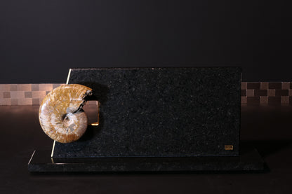 Knife block made of Nero Impala with gold plating and an ammonite