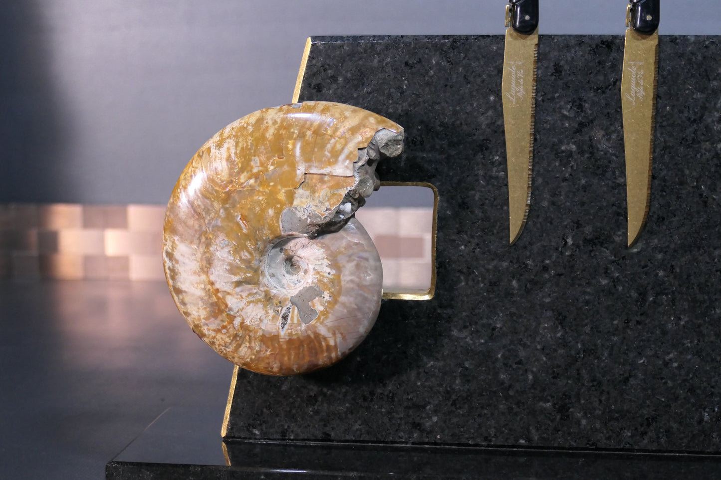 Knife block made of Nero Impala with gold plating and an ammonite