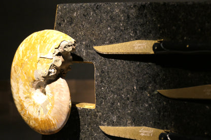 Knife block made of Nero Impala with gold plating and an ammonite