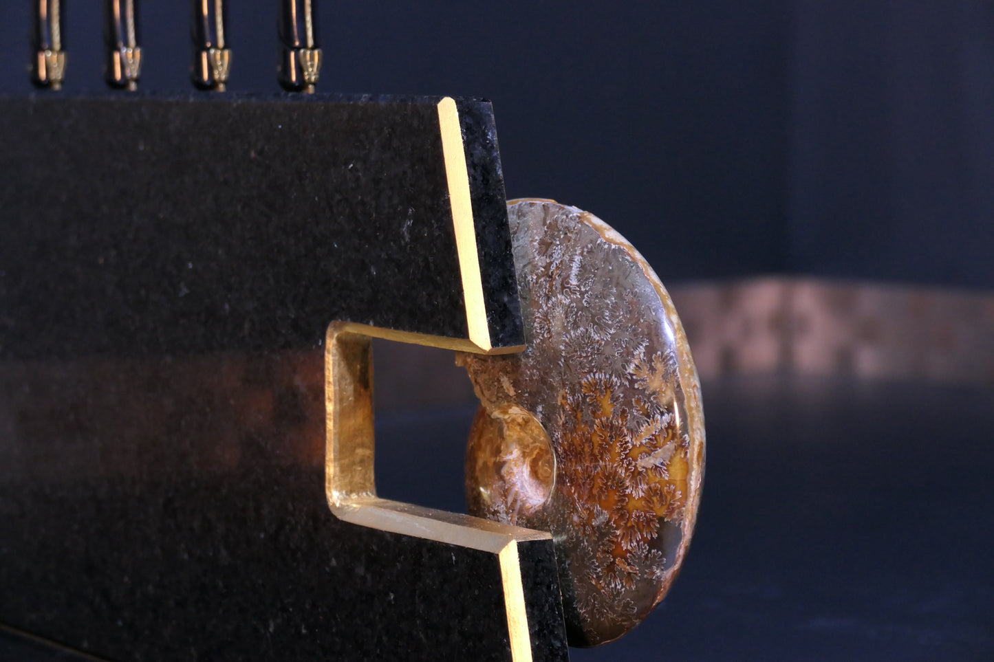 Knife block made of Nero Impala with gold plating and an ammonite