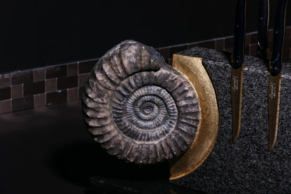 Knife block made of Nero Impala with a black ammonite