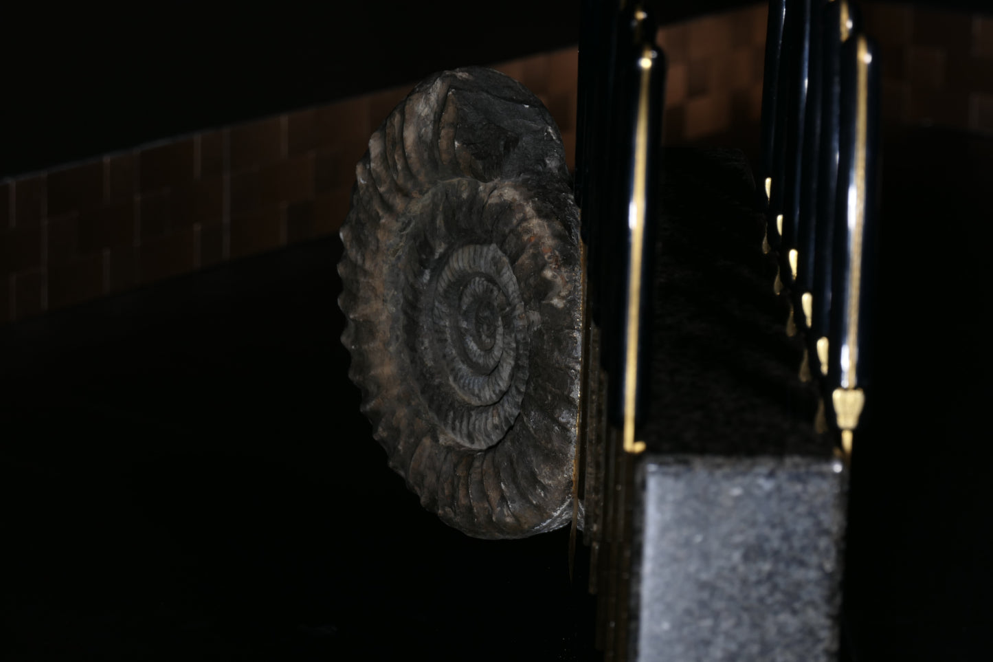 Knife block made of Nero Impala with a black ammonite