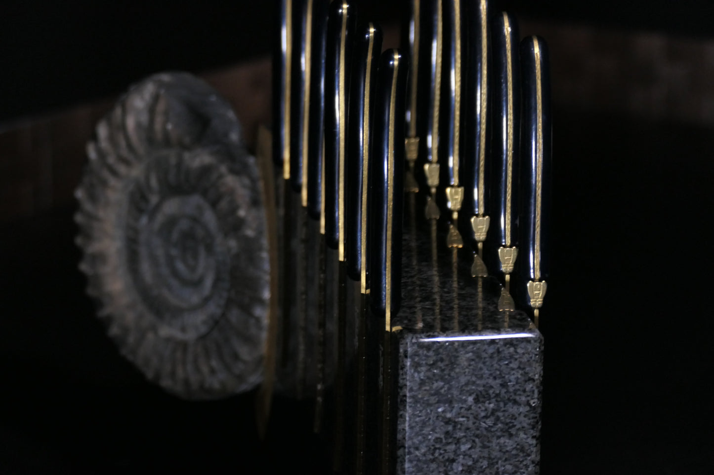 Knife block made of Nero Impala with a black ammonite