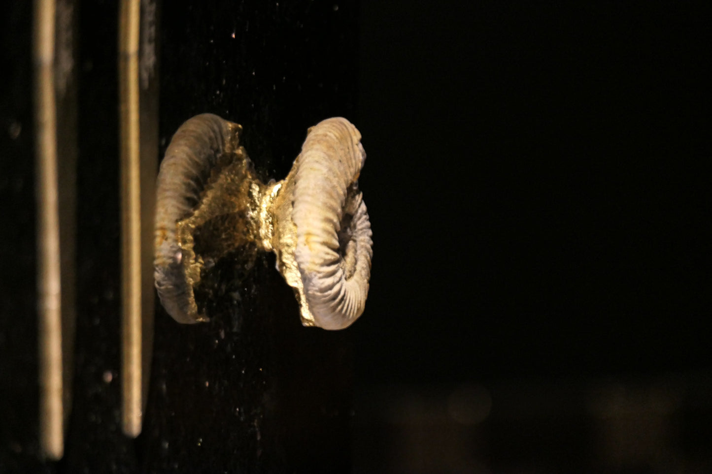 Star Galaxy Gold knife block with a fossilized ammonite