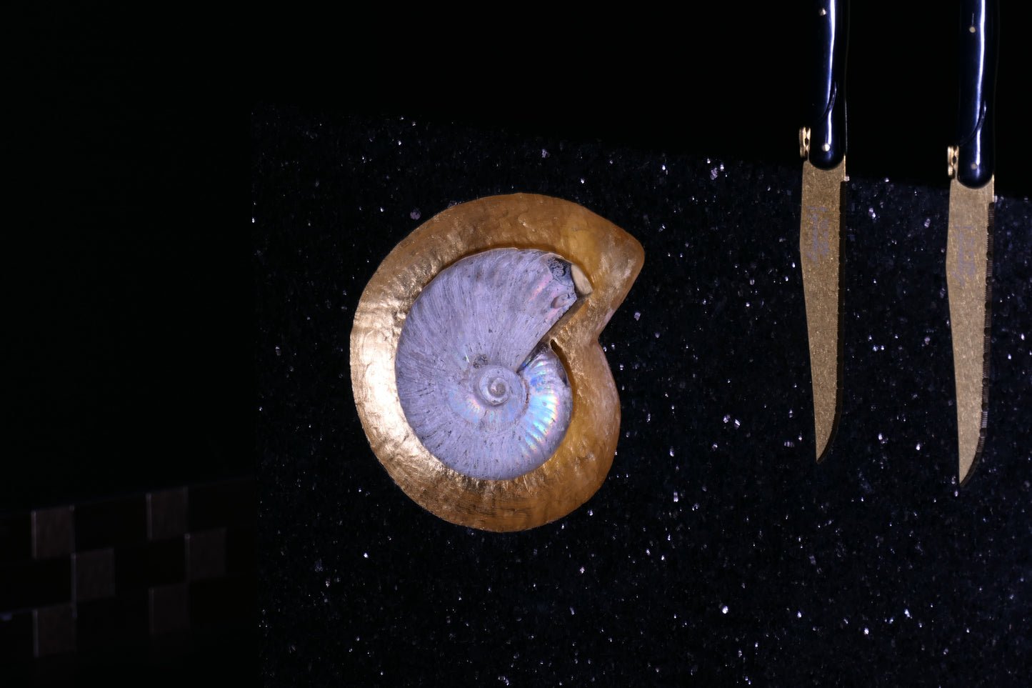 Star Galaxy Gold knife block with an ammonite