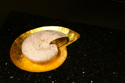 Star Galaxy Gold knife block with an ammonite