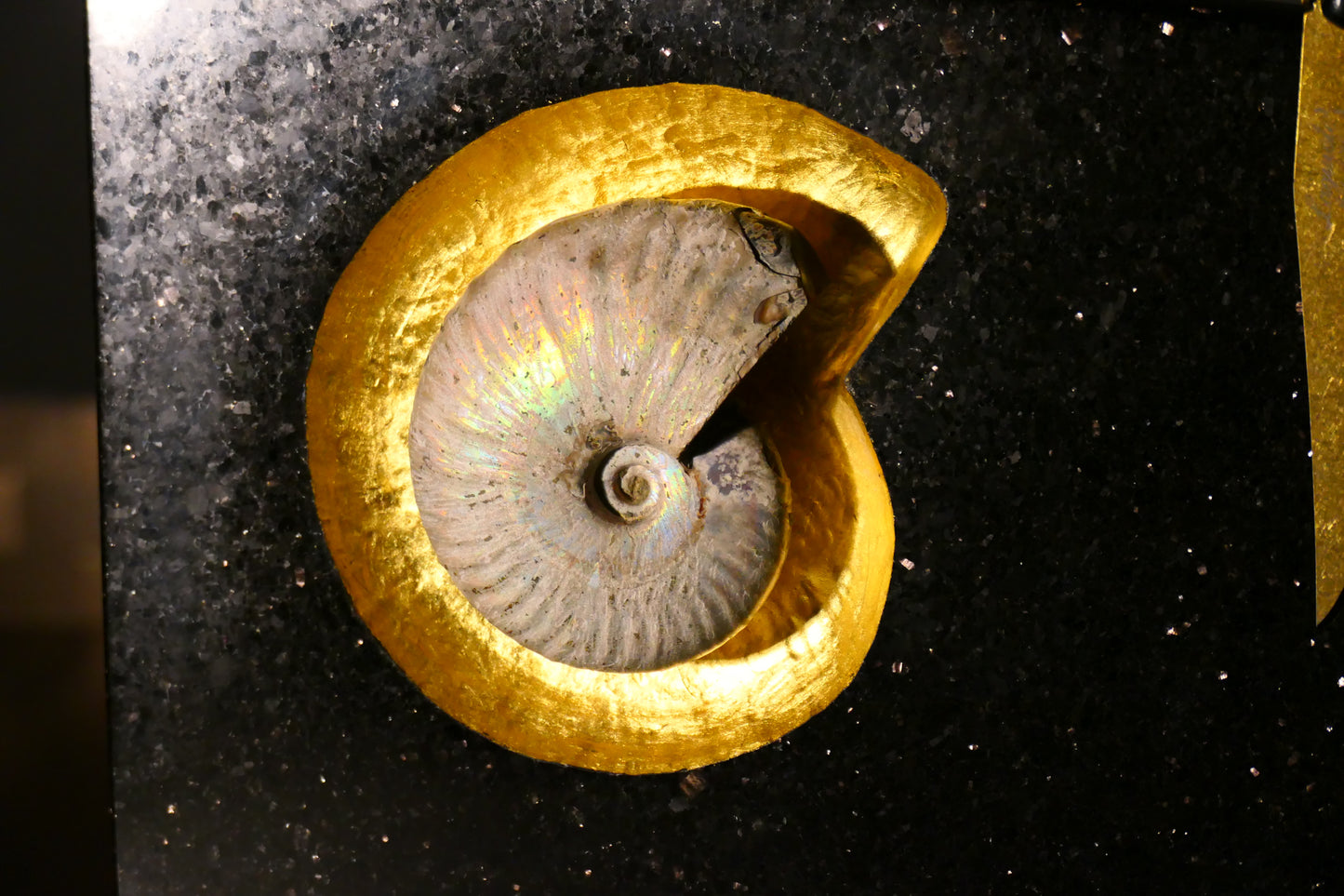 Star Galaxy Gold knife block with an ammonite