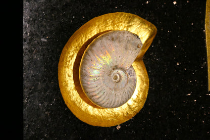 Star Galaxy Gold knife block with an ammonite