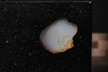 Star Galaxy Gold knife block with agate disc